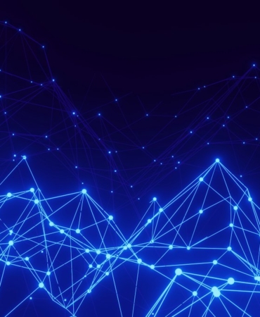 Ağ kabloları ve internet bağlantısı (temsili görsel)